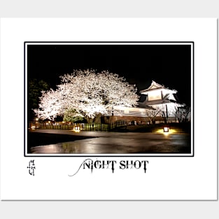 Night Shot Sakura Photo Posters and Art